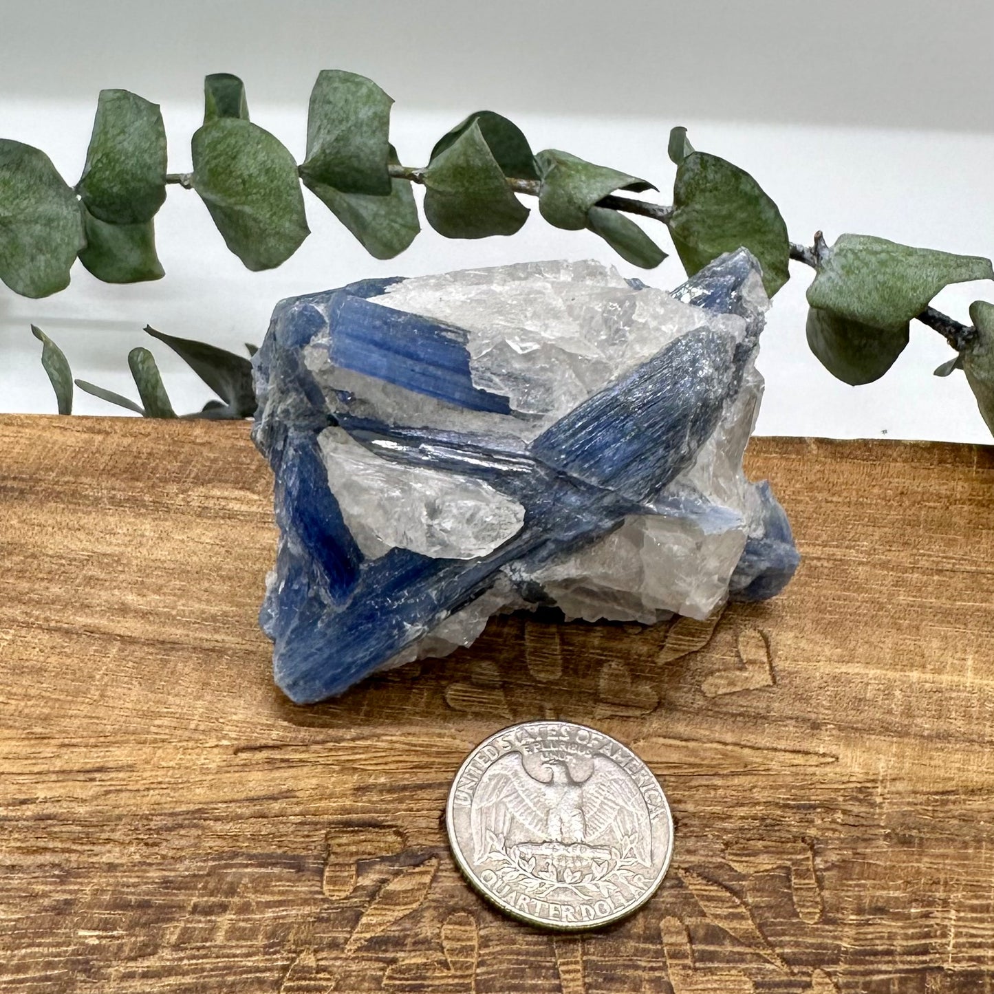 Blue Kyanite Raw Crystal
