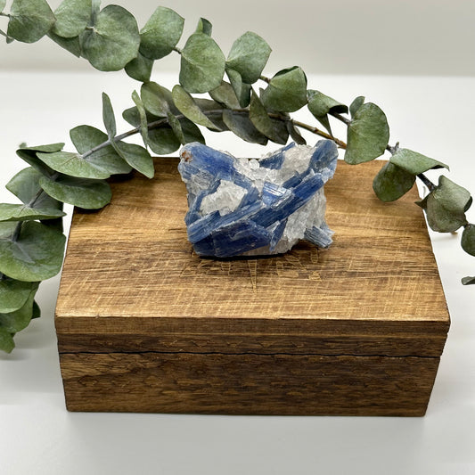 Blue Kyanite Raw Crystal