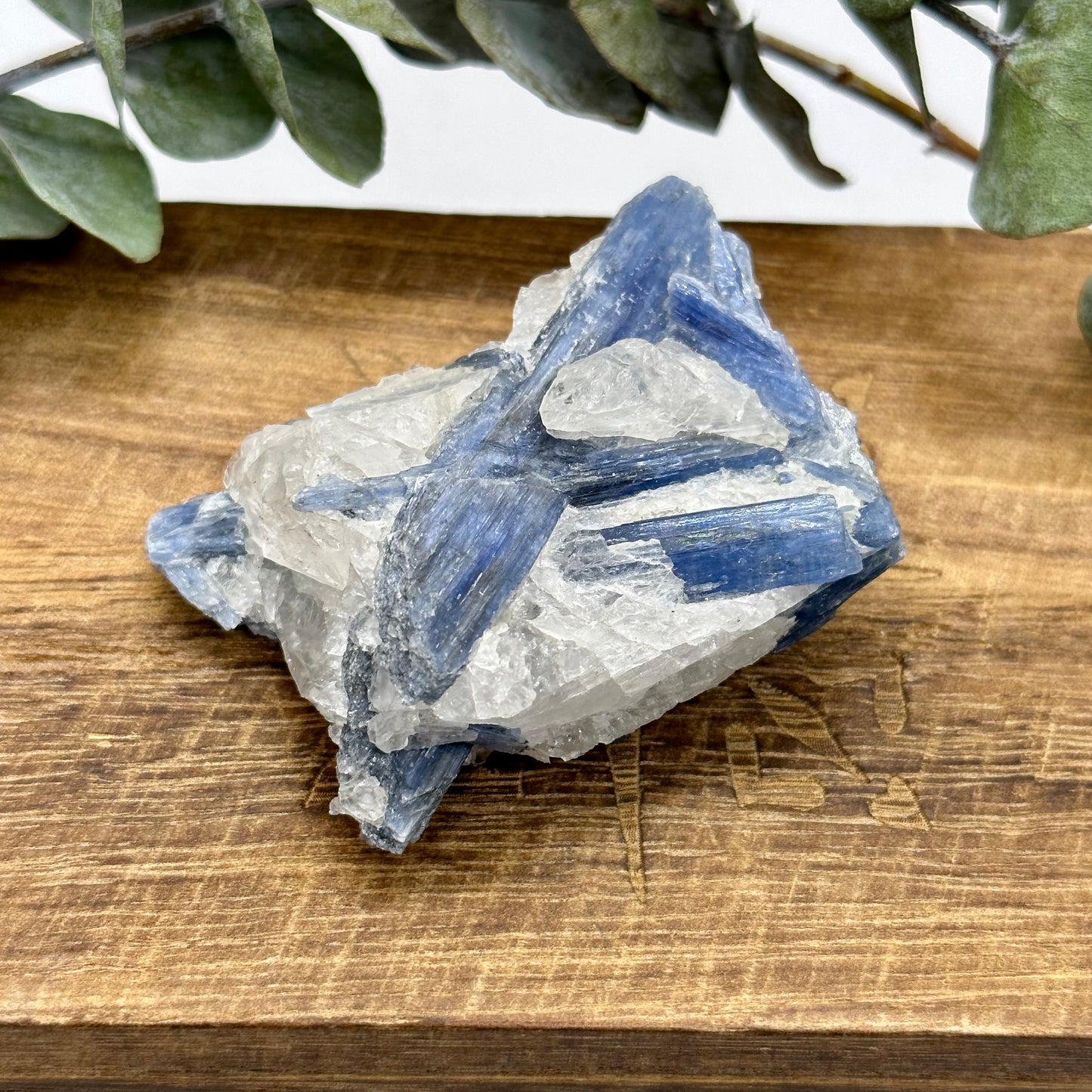 Blue Kyanite Raw Crystal