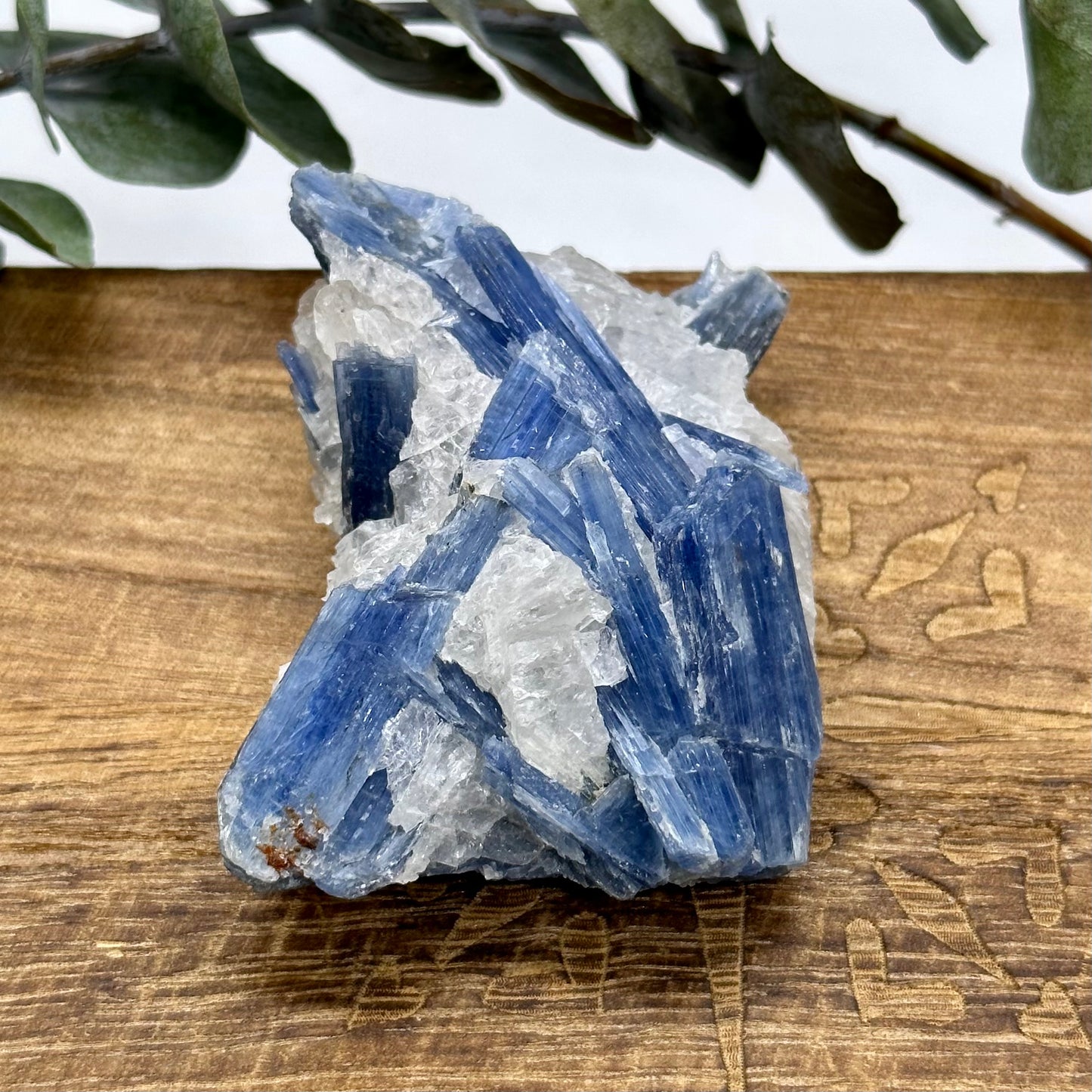 Blue Kyanite Raw Crystal